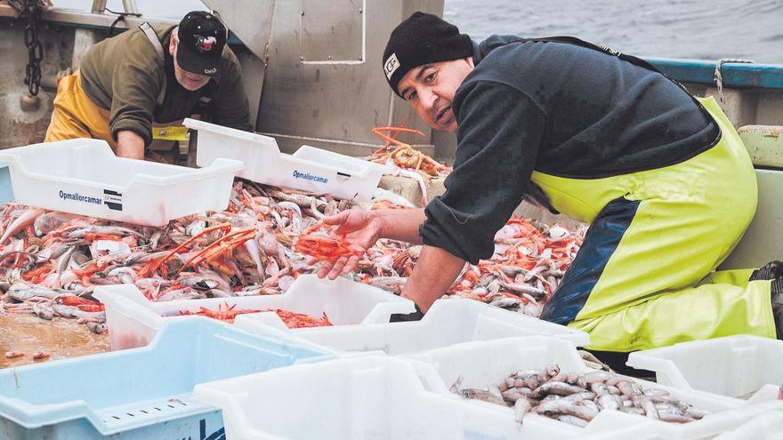 Un día en alta mar con los pescadores: &quot;Volvemos a faenar en un mar de dudas&quot;