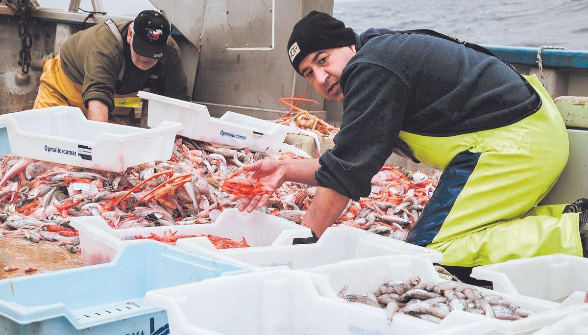 Un día en alta mar con los pescadores de Mallorca.
