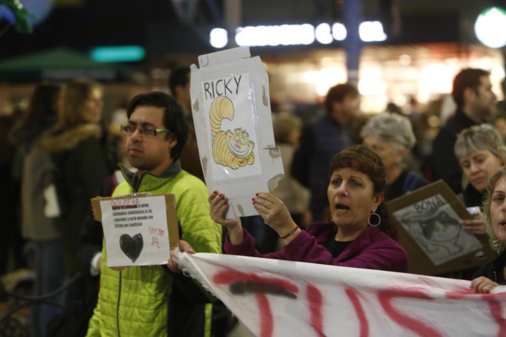 Concentración contra la matanza de gatos