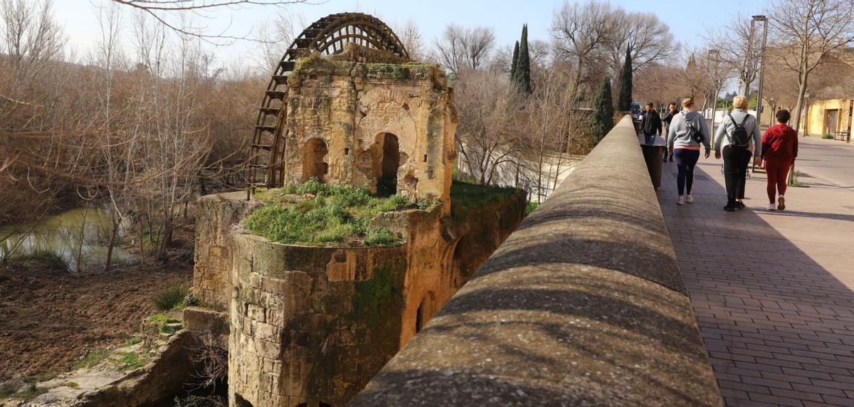 Noria de la Albolafia 8 La limpieza de los Sotos de la Albolafia vuelve a permitir divisar este elemento patrimonial.