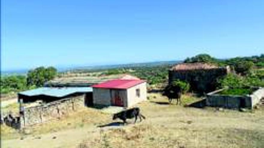 Recuperarán otra zona de Valcorchero