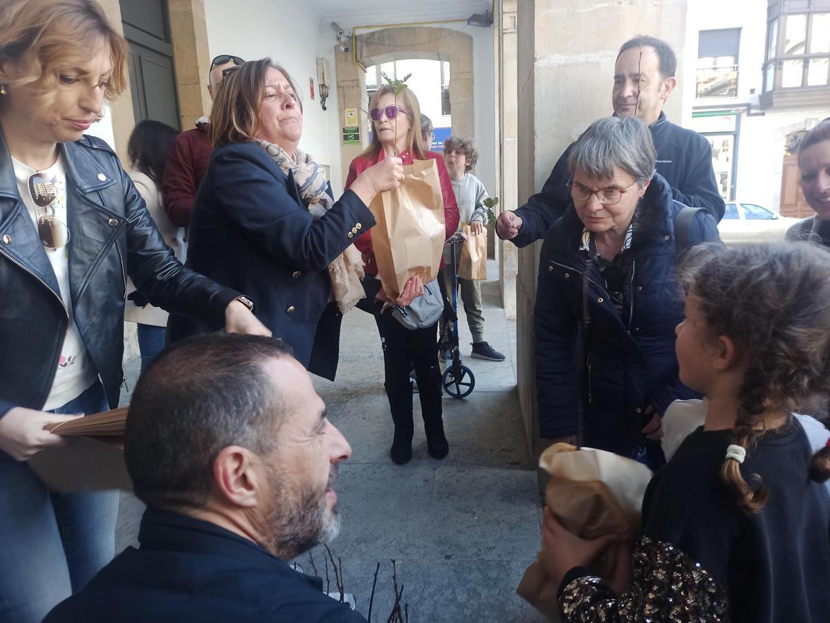 Árboles para la huerta, para cerrar una finca o para replantar en el monte en Siero: así son los usos que dan los vecinos a los plantones repartidos por el Ayuntamiento
