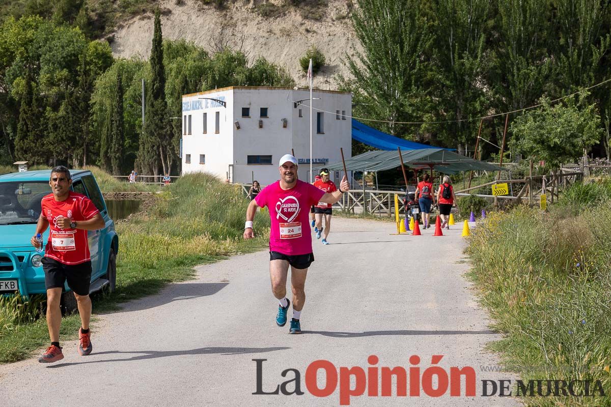 Carrera 'Entre arrozales' en Calasparra (carrera)