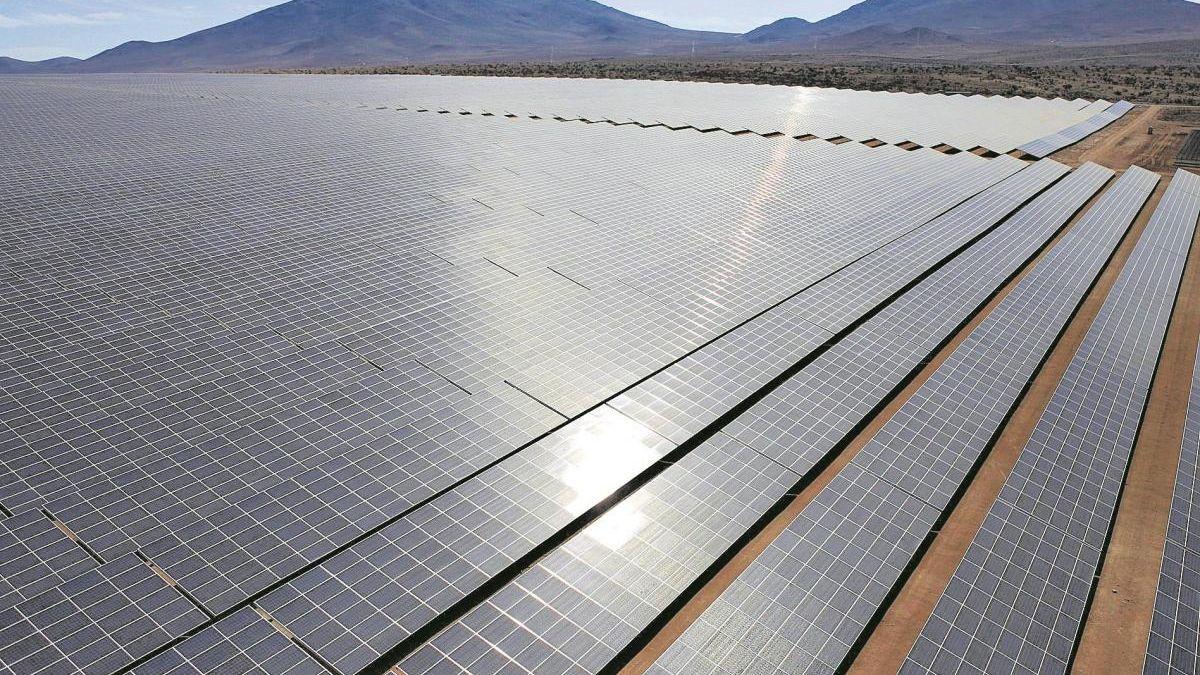 Fotovoltaicas: el bosque inanimado