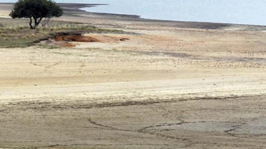 Pocas esperanzas tras un verano extremo