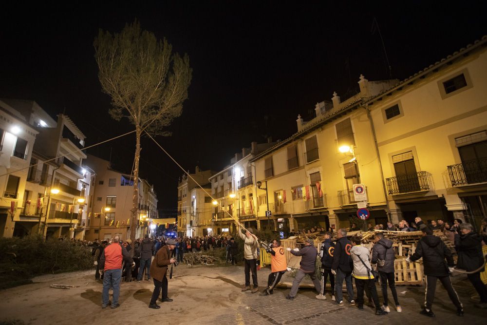 Sant Antoni arranca en Sagunt con la tradicional Plantà del Pi