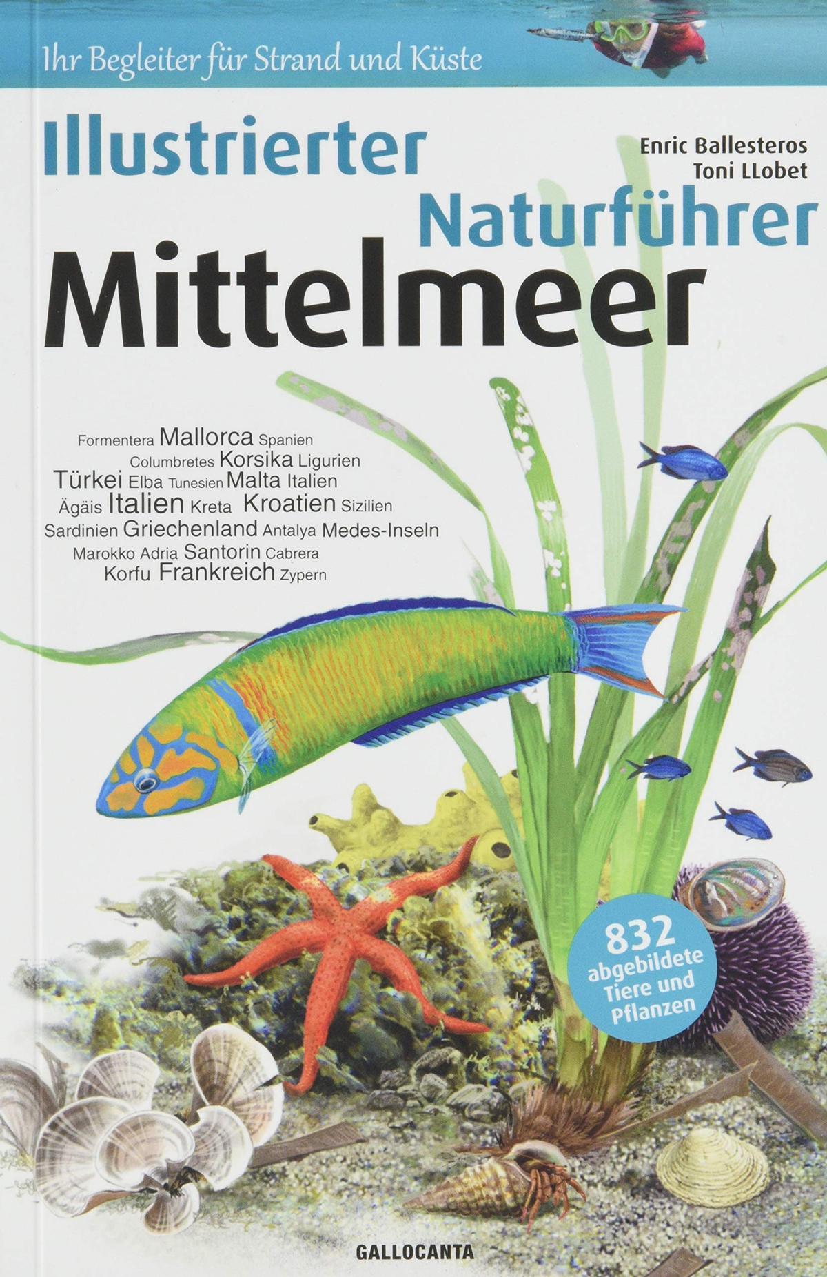 Der &quot;Illustrierte Naturführer Mittelmeer&quot; ist beim Verlag Brau Edicions erschienen.