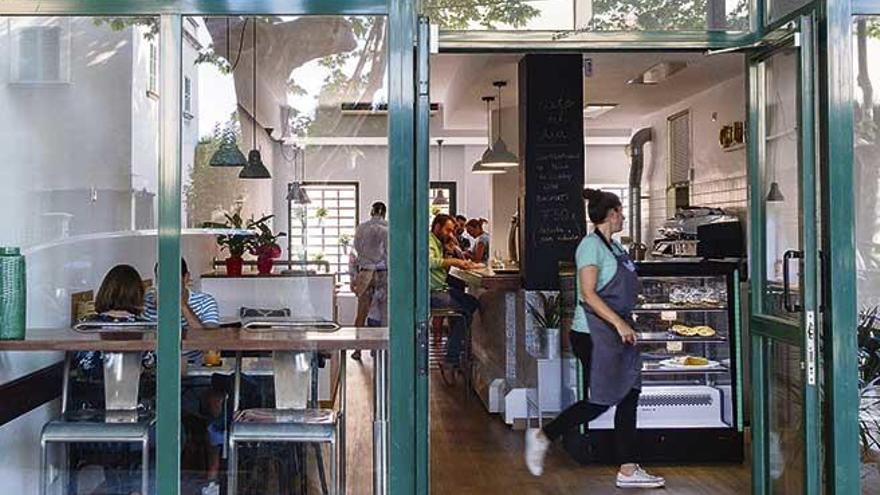 Cóctel de contenidos