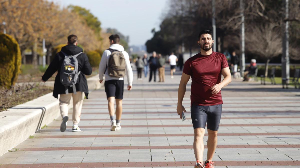 Varias personas caminan bajo el sol en el Vial de Córdoba.