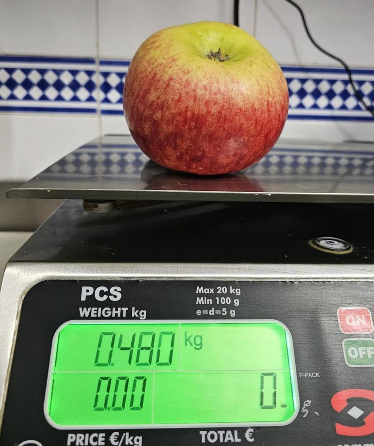 La manzana de 480 gramos, en la pesa.