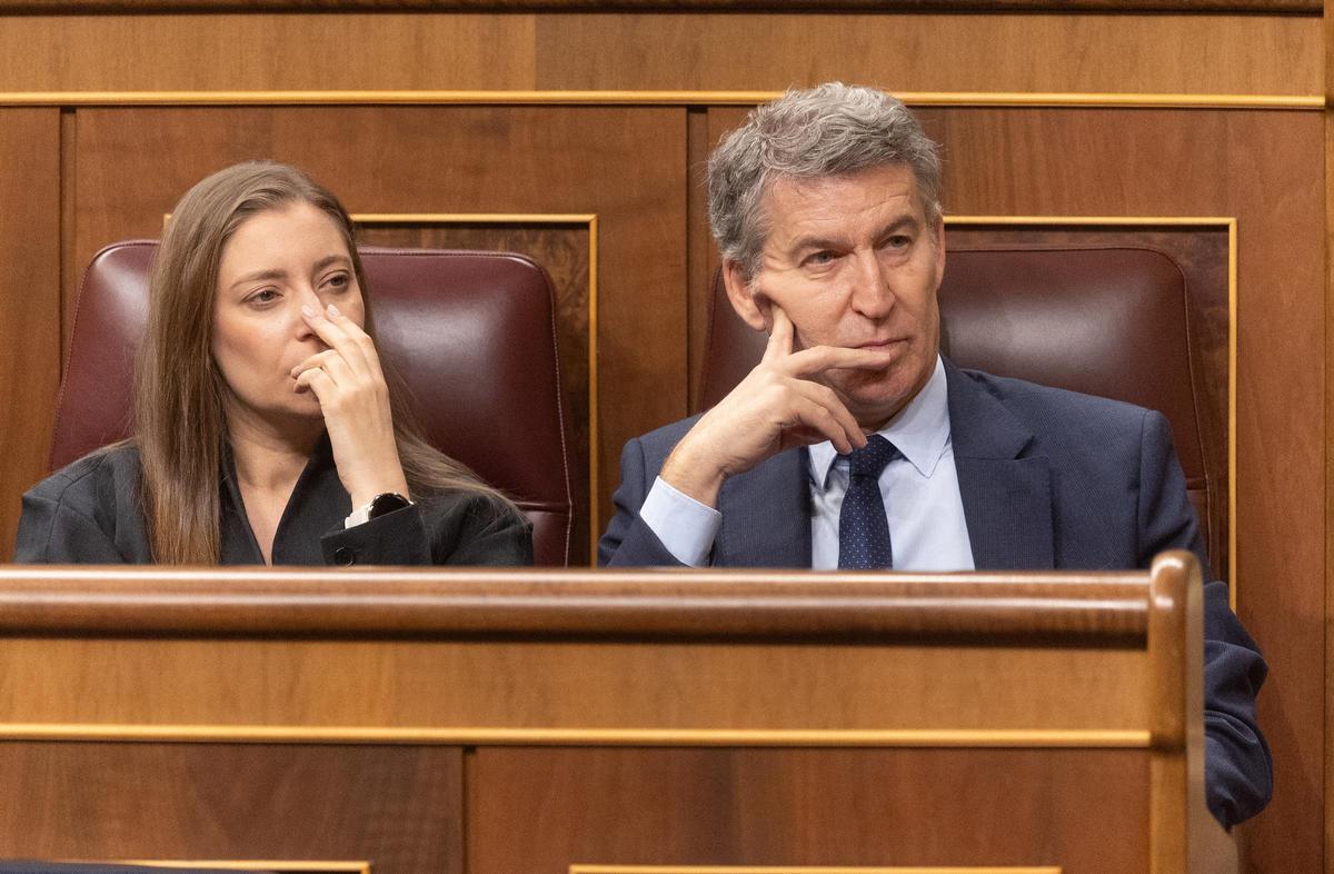 El presidente del PP, Alberto Núñez Feijóo, y la portavoz del PP en el Congreso, Ester Muñoz, durante una sesión plenaria extraordinaria, en el Congreso de los Diputados, a 15 de enero de 2026, en Madrid (España).