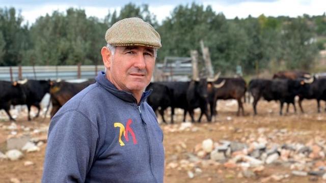 Fernando Machancoses, en el cercado de sus vacas estrella.