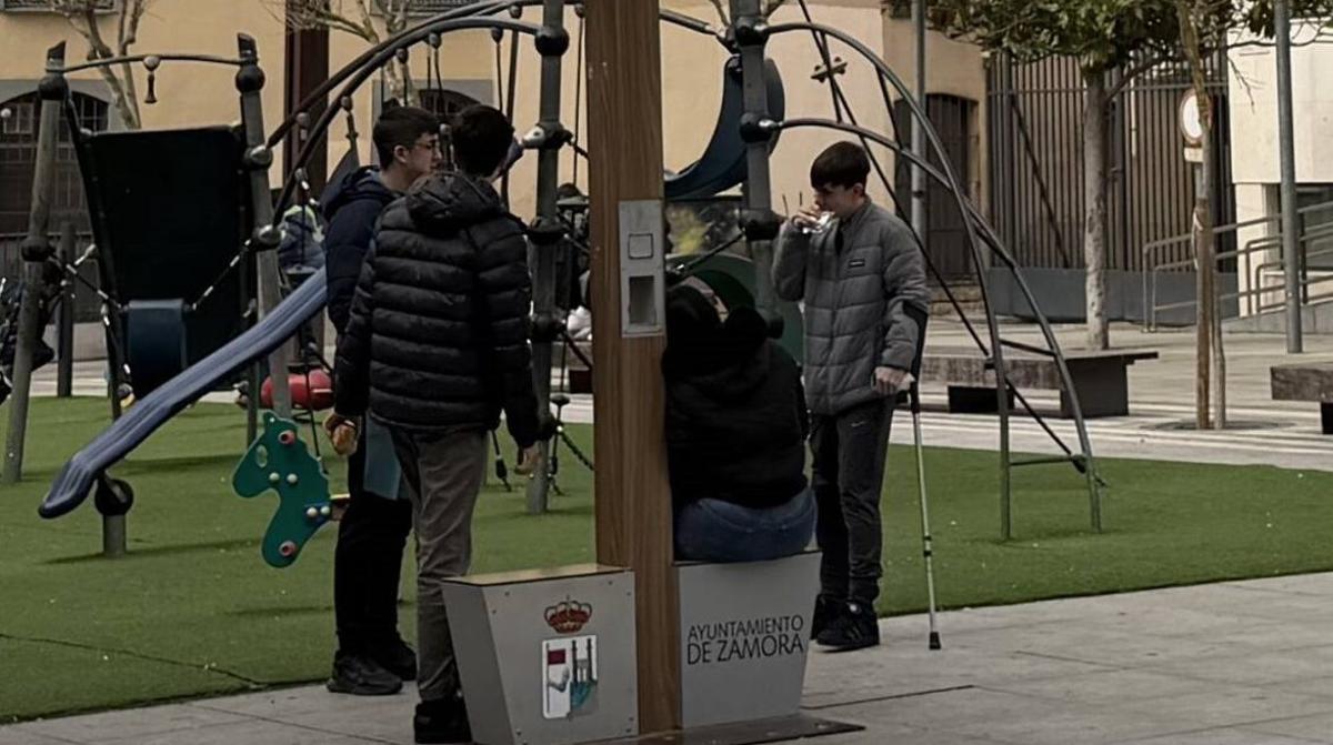 Cuatro jóvenes en el parque de Hacienda almorzando. | ALBA PRIETO