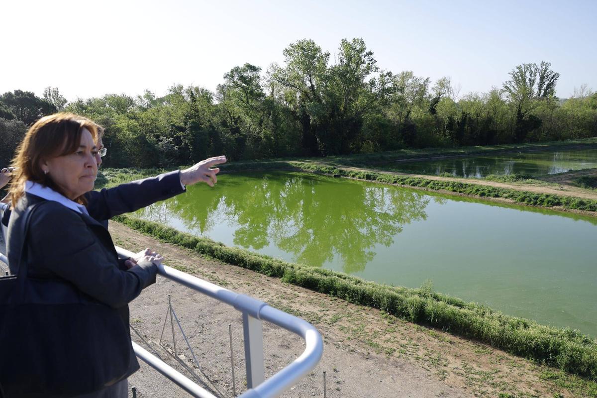 Sant Gregori. Depuradora EDAR. La consellera Silvia Paneque inaugura la nova planta depuradora.