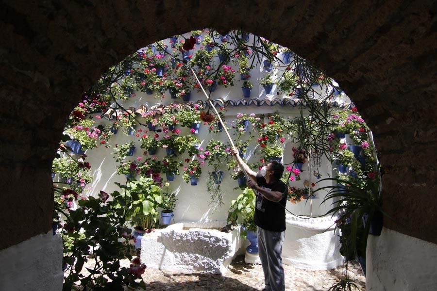 Los Patios de Córdoba (2)