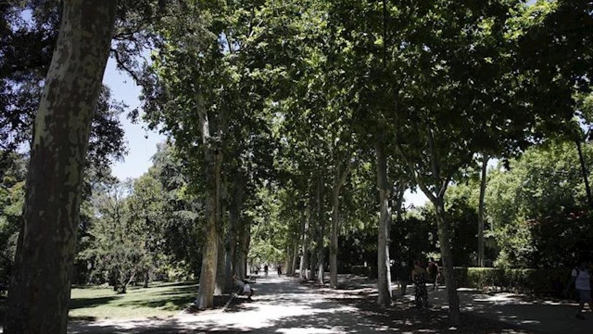 Paseo con árboles y vegetación