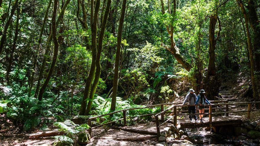 Dos de las siete maravillas naturales de España están en Canarias