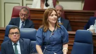 El Gobierno canario defiende que los 485 millones de la moratoria turística son “el acuerdo menos lesivo” para las Islas