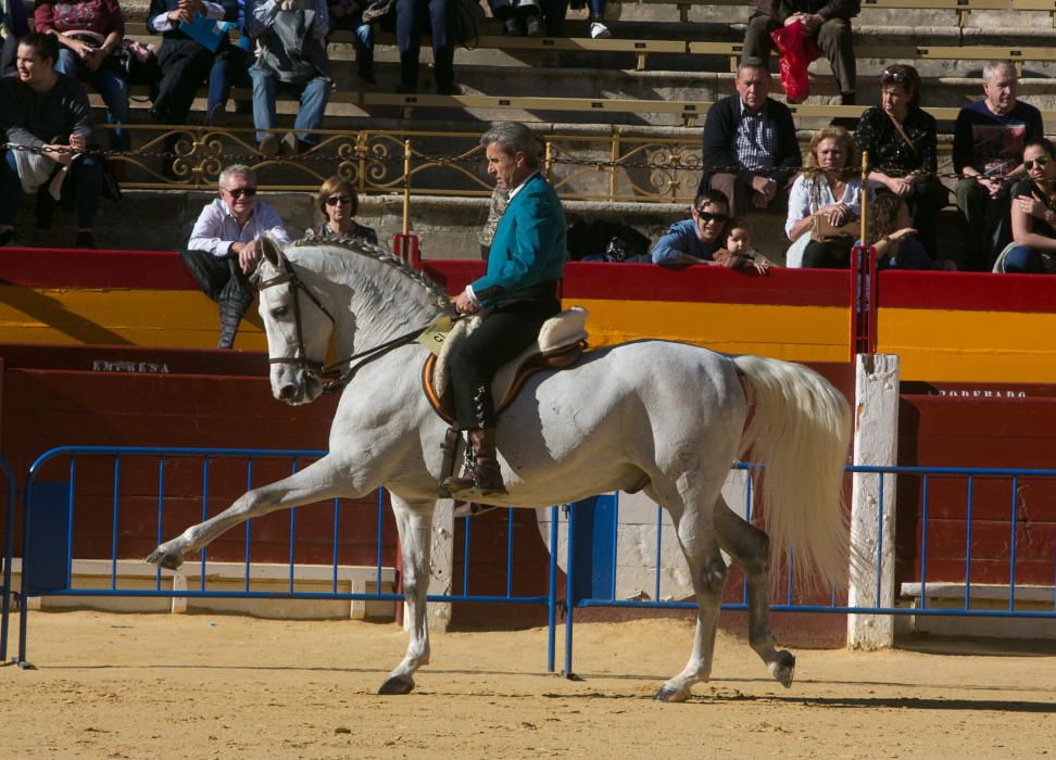 Bendición de los animales por el día de San Antón