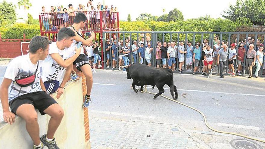 Santa Bárbara vive por todo lo alto su ‘bou en corda’