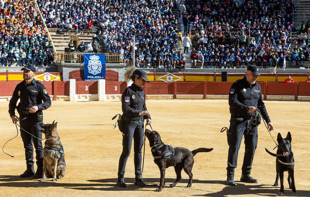La Policía Nacional conmemora su 200 Aniversario con una exhibición en la Plaza de Toros de Alicante