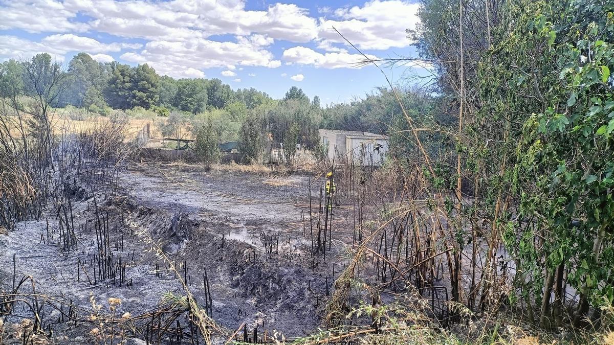 Consecuencias del fuego provocado a las afueras de Zuera.