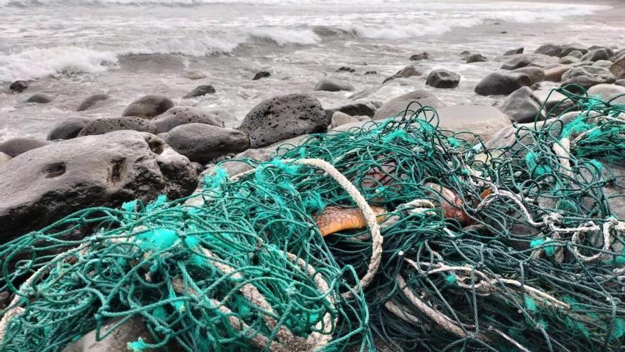 Rescatan a una tortuga boba atrapada en una red en Las Canteras