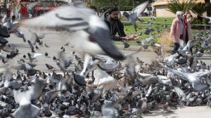 Los turistas llenan Barcelona pese al mal tiempo