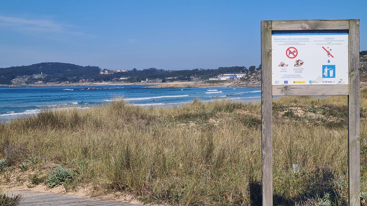 Un cartel que prohibe el paso con perros en A Lanzada.