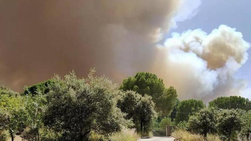 Última hora de los incendios en España, en directo | Las condiciones de la noche ofrecen una "oportunidad" para controlar los fuegos de Madrid