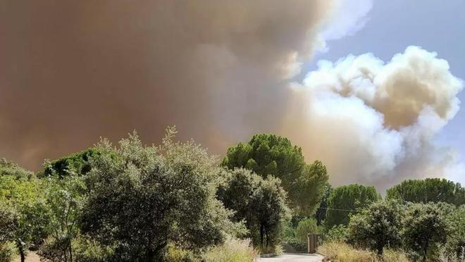 Última hora de los incendios en España, en directo  Protección Civil prevé una evolución más favorable del fuego de Madrid por el cambio de viento