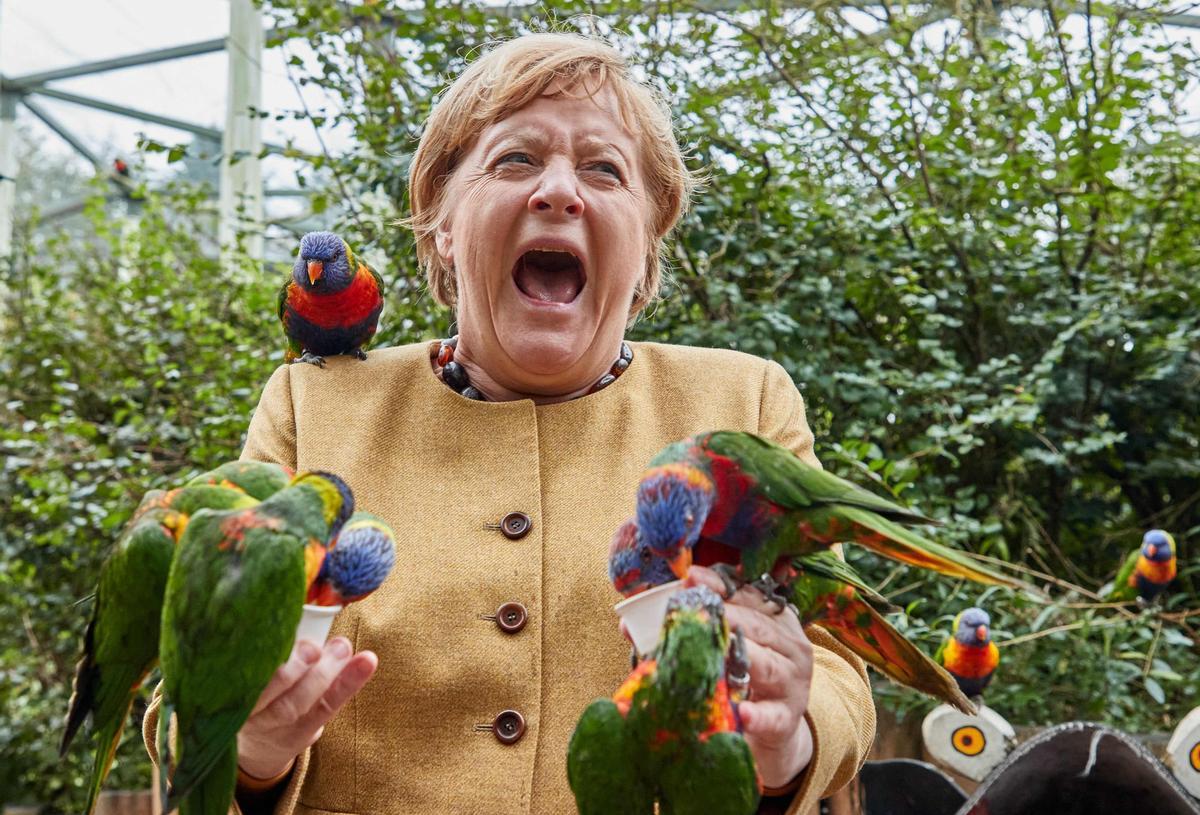 La canciller alemana, Angela Merkel, reacciona mientras alimenta a los loritos en el Parque de las Aves en Marlow, en el norte de Alemania, el 23 de septiembre de 2021.