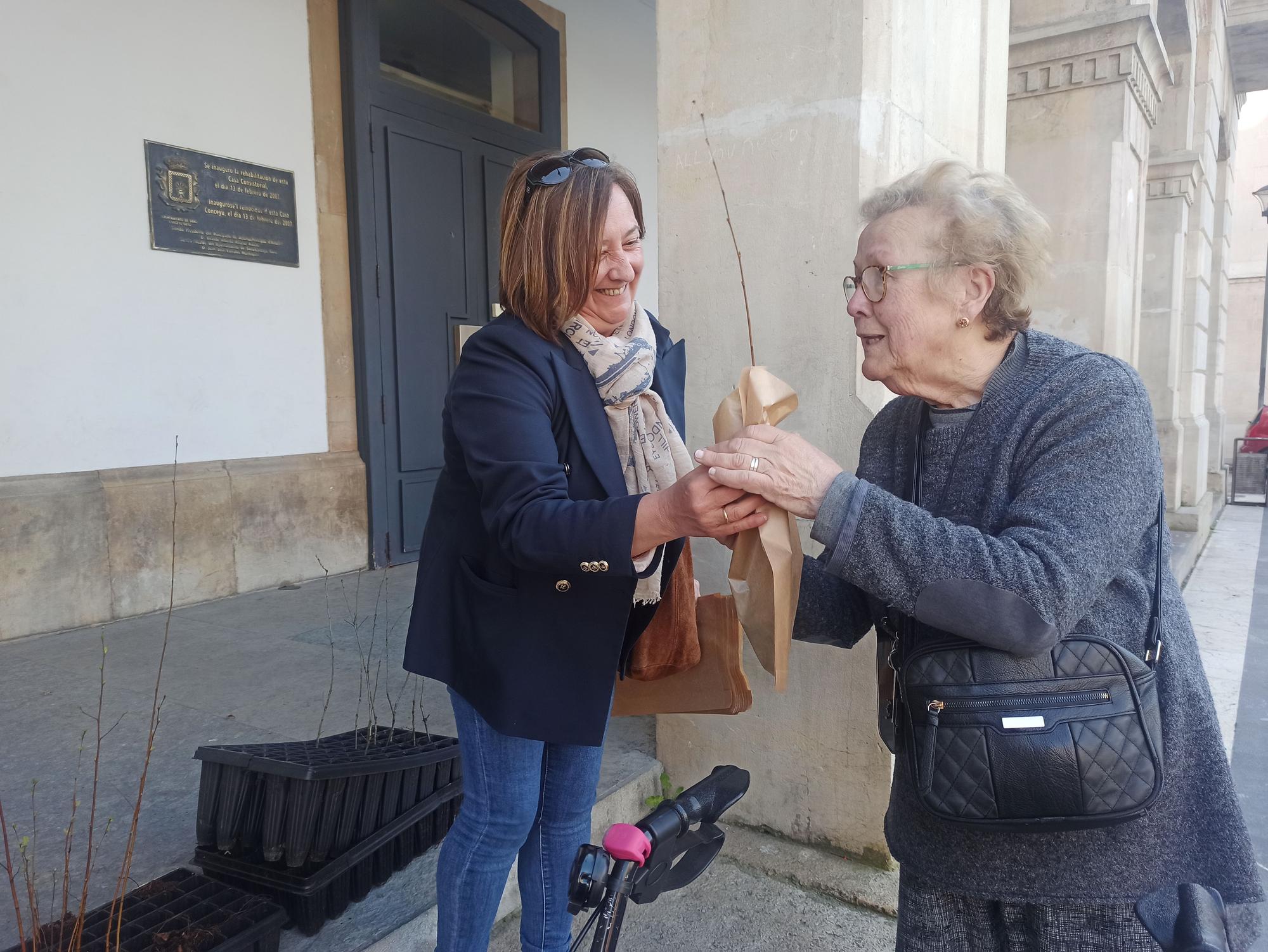 Árboles para la huerta, para cerrar una finca o para replantar en el monte en Siero: así son los usos que dan los vecinos a los plantones repartidos por el Ayuntamiento