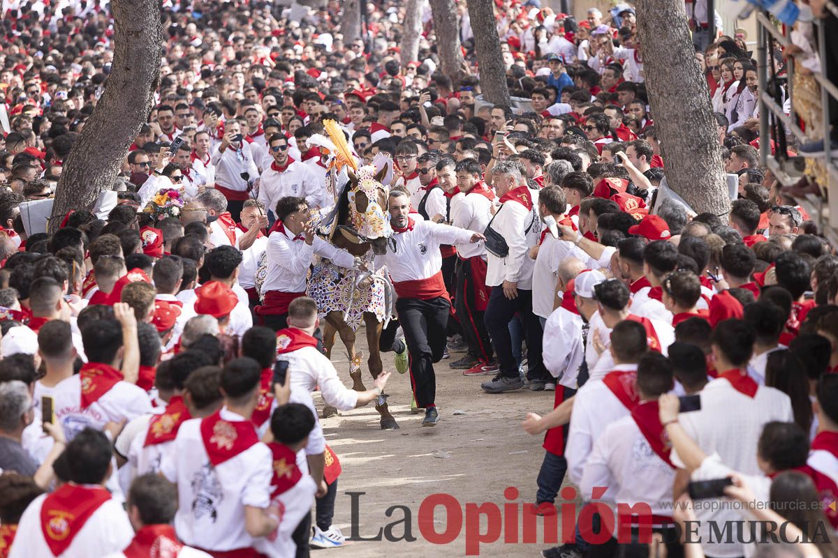Así se ha vivido la carrera de Los Caballos del Vino en Caravaca