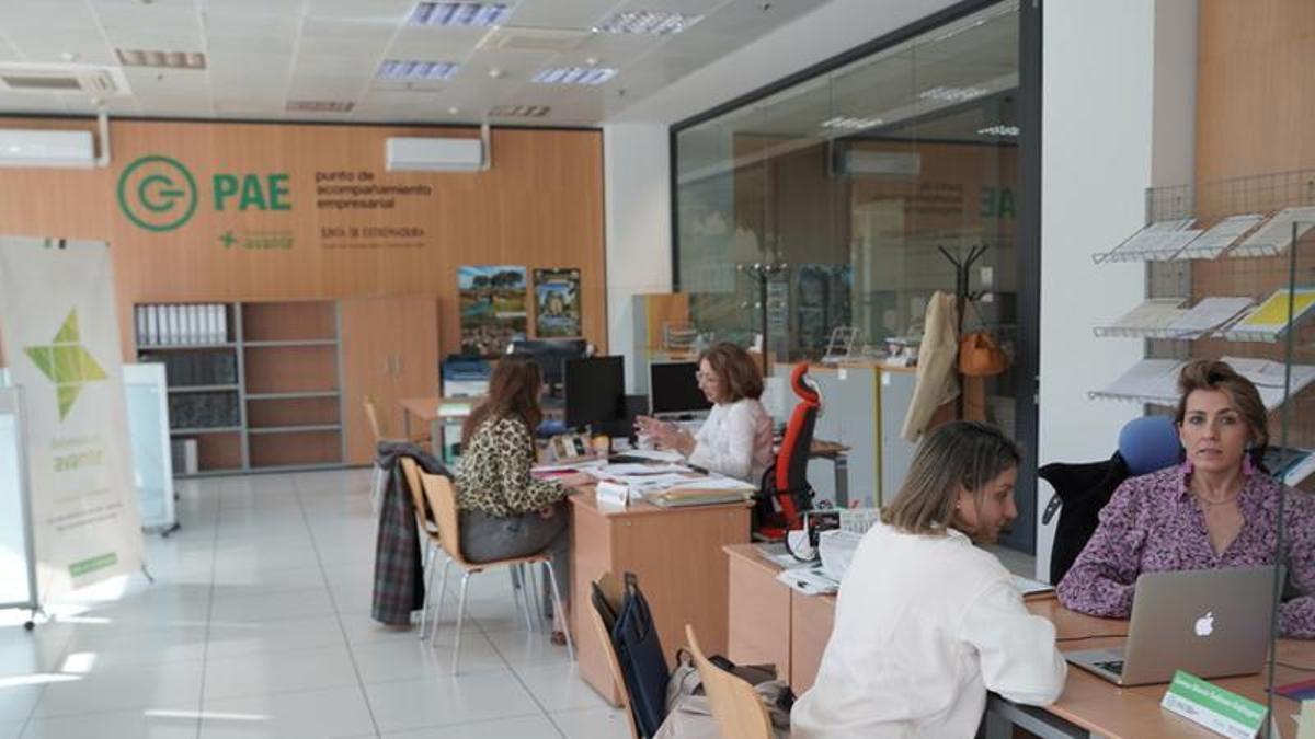 Punto de Acompañamiento Empresarial de Don Benito.