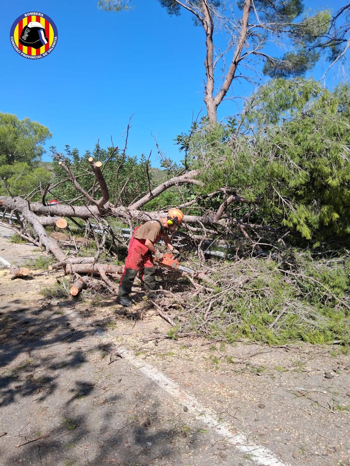 Un integrante de la brigada BRIFo durante las labores realizadas en Antella y Sumacàrcer.