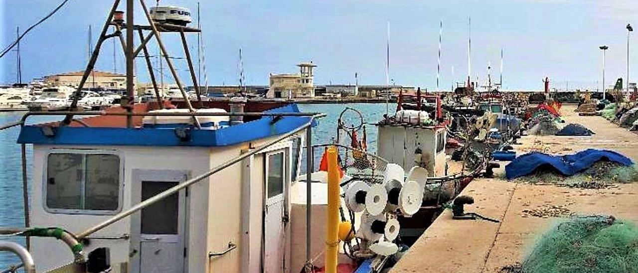 Arriba, el muelle pesquero de El Campello. Abajo, una jaula de Avramar, en Calp.  | INFORMACIÓN