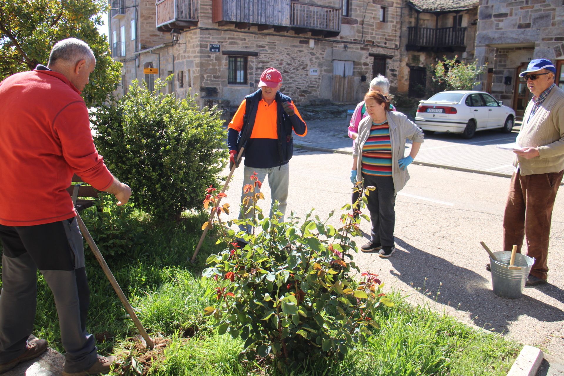 Los voluntarios cervatos arreglan los espacios verdes de la villa