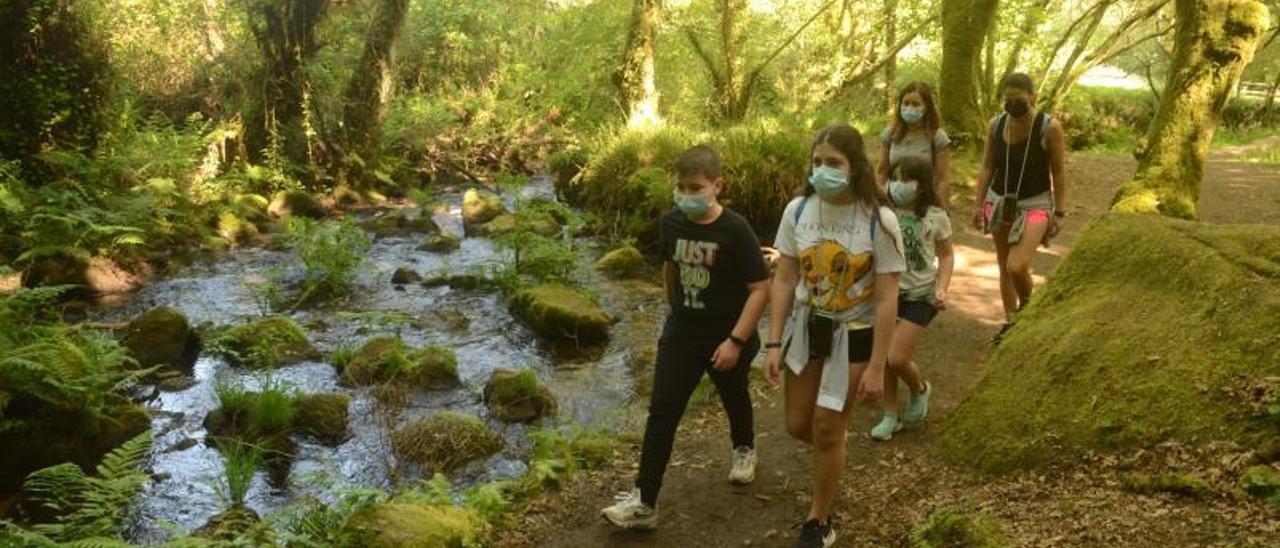 Un grupo de caminantes hacen la Ruta da Pedra e da Auga, camino de Armenteira. |   // NOÉ PARGA