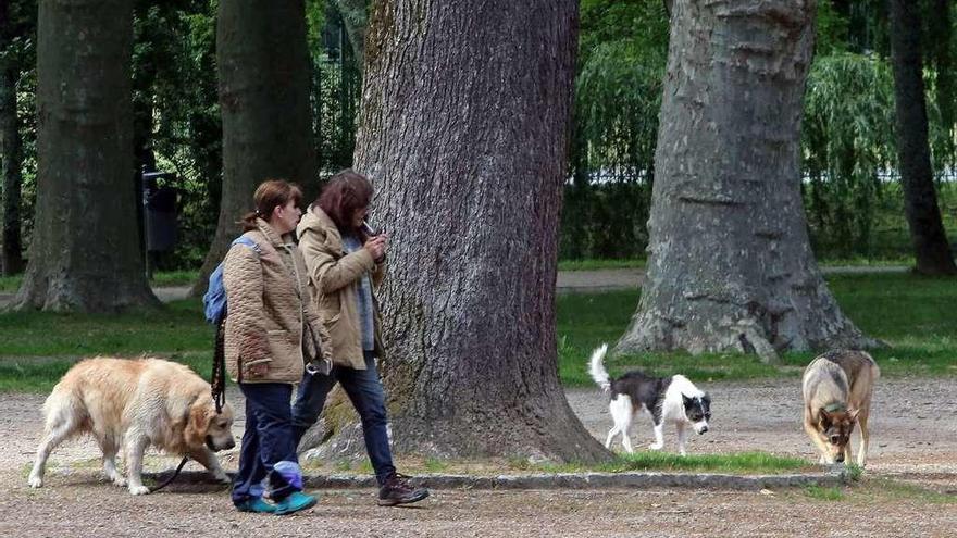 Perros, con sus dueñas, en el parque de Castrelos de Vigo. // Marta G. Brea