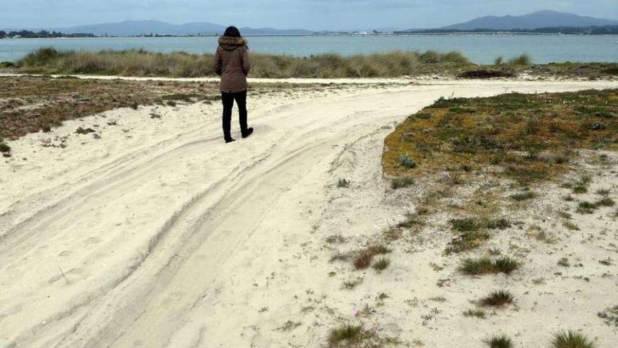 Zona de Punta Arnela donde la duna ha experimentado un importante retroceso. // Noé Parga