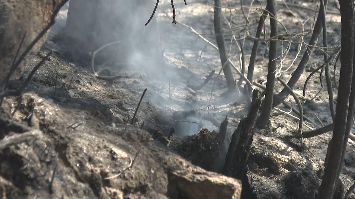Evacuado en pleno incendio un vecino de Corme con un ictus gracias a una arriesgada operación del Samur y la Guardia Civil