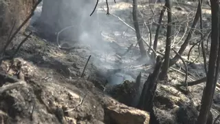 El fuego cerca el municipio coruñés de Ponteceso y obliga a desalojar Corme Aldea