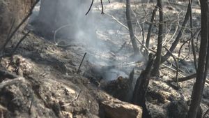 Evacuado en pleno incendio un vecino de Corme con un ictus gracias a una arriesgada operación del Samur y la Guardia Civil