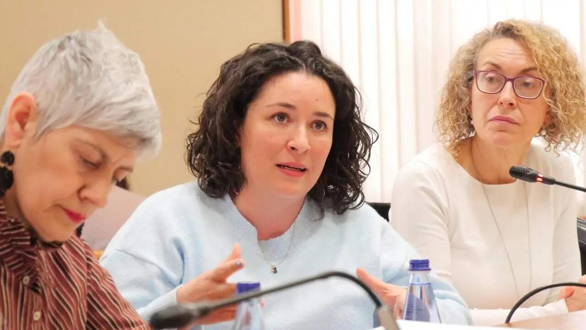En el centro, la deputada del BNG, Saleta Chao, durante su intervención en la Comisión de Educación.