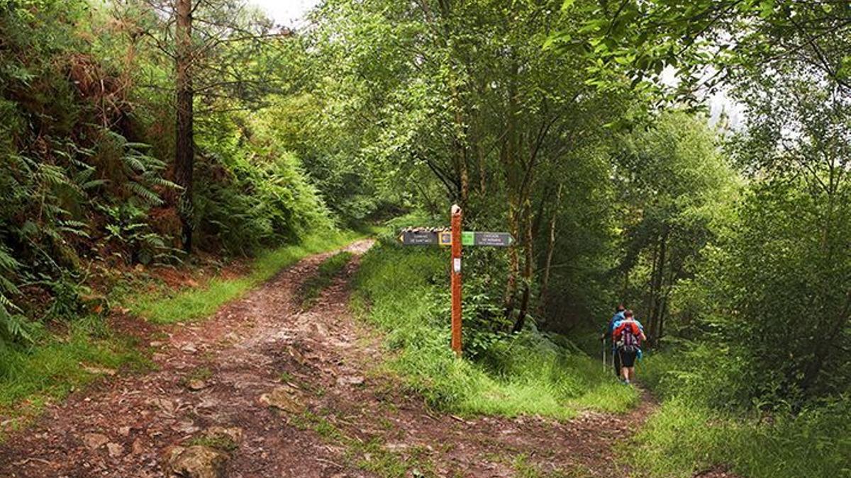 Camino de Santiago en Nonaya, Salas