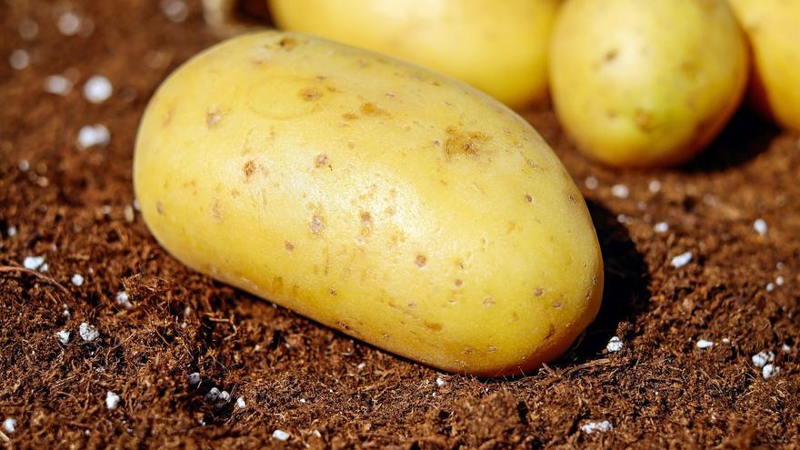 Patatas cocidas en la lavadora, la última excentricidad vista en redes sociales