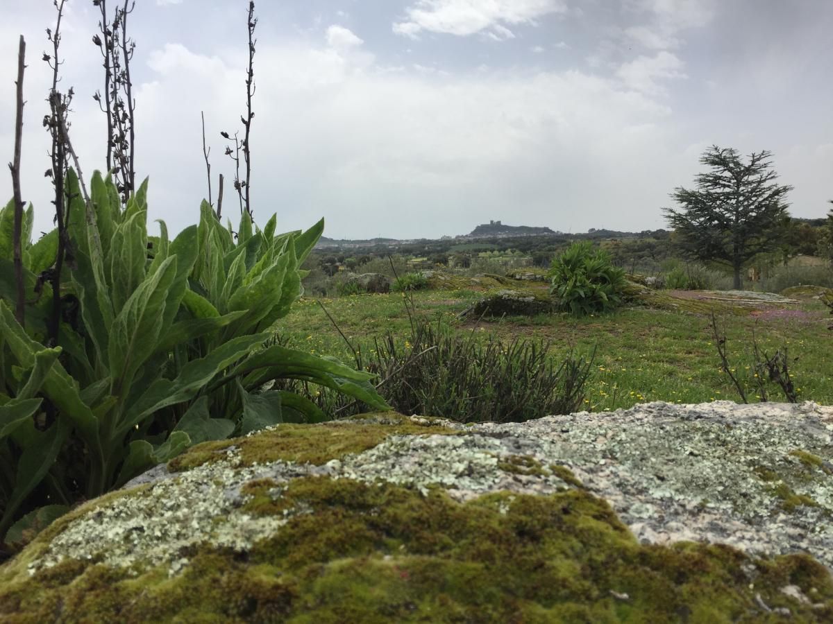 La bodega Encina Blanca en imágenes