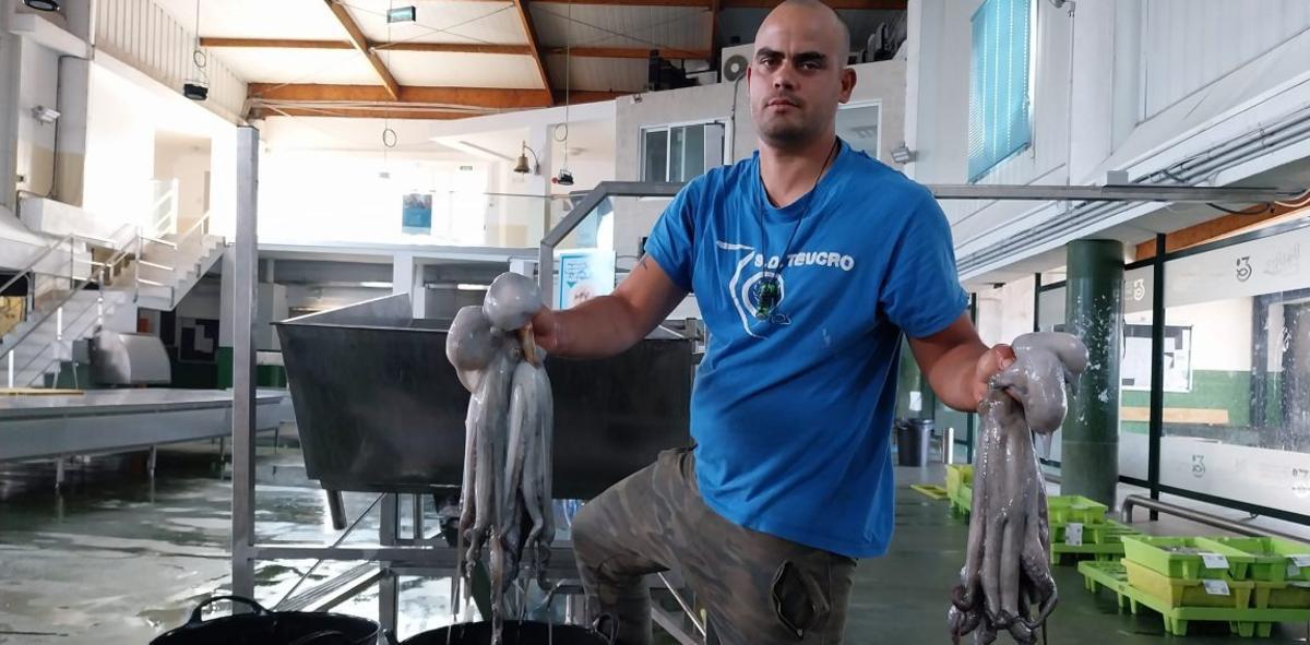 Pulpo en
la lonja
de Bueu. 
 |  FdV