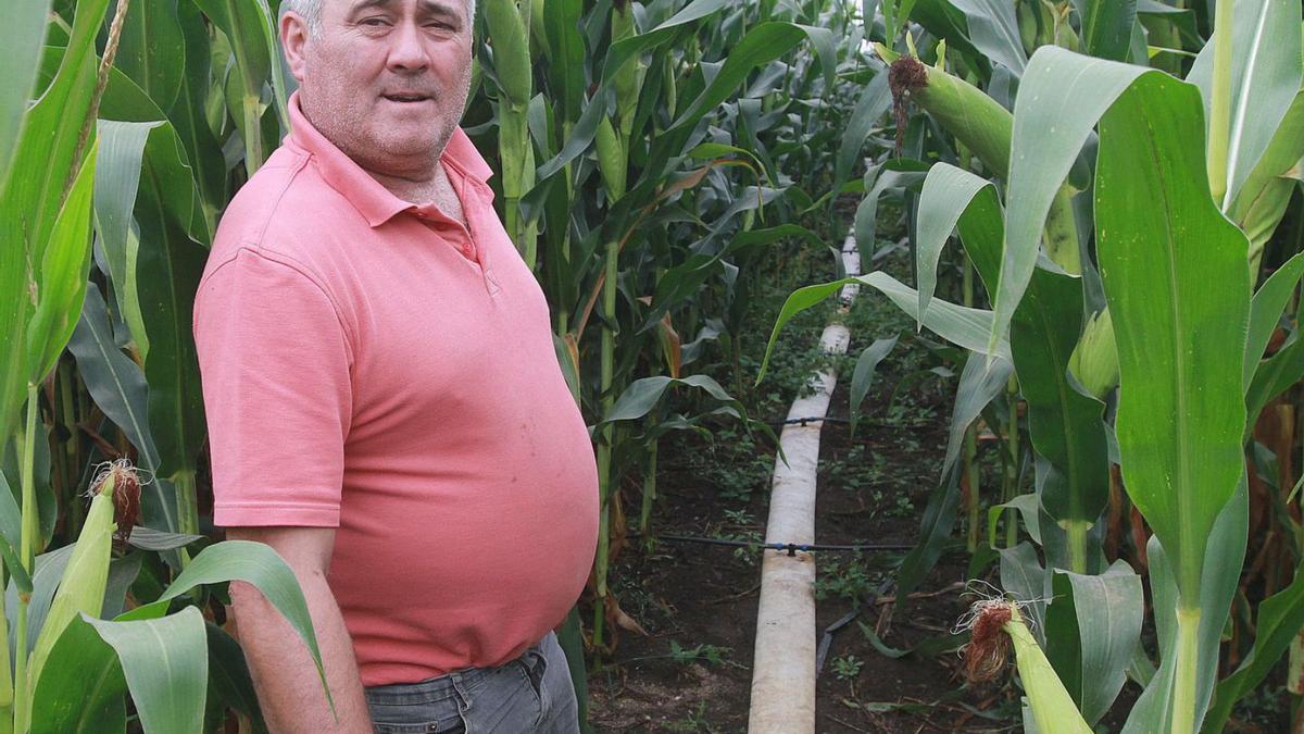 Carlos Rivas, agricultor de cereal en Ourense.   | // IÑAKI OSORIO  